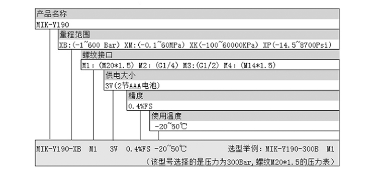 数显压力表 数显压力表