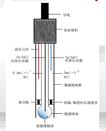 电极图解