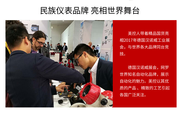 分体式电磁流量计 分体式电磁流量计