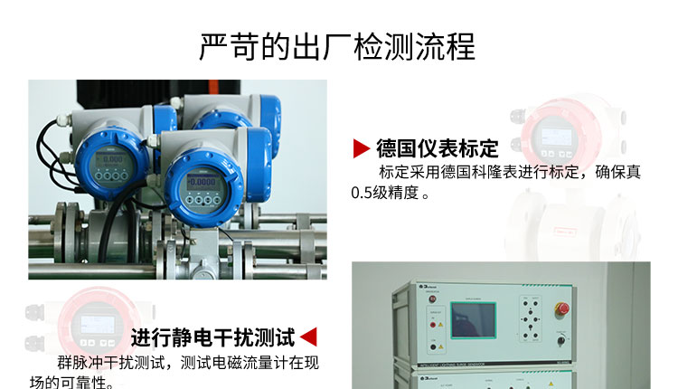 分体式电磁流量计 分体式电磁流量计