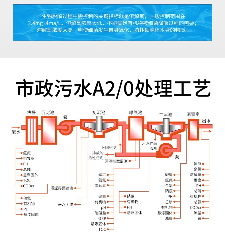 溶解氧仪工艺