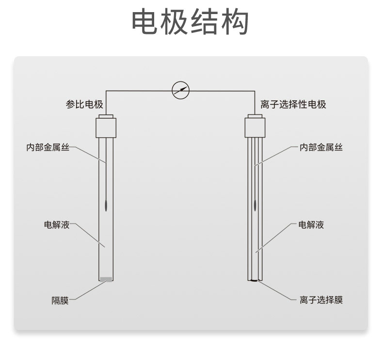 电极结构