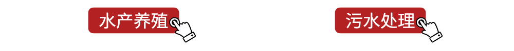 gif1.gif