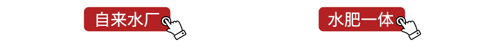 gif2.gif